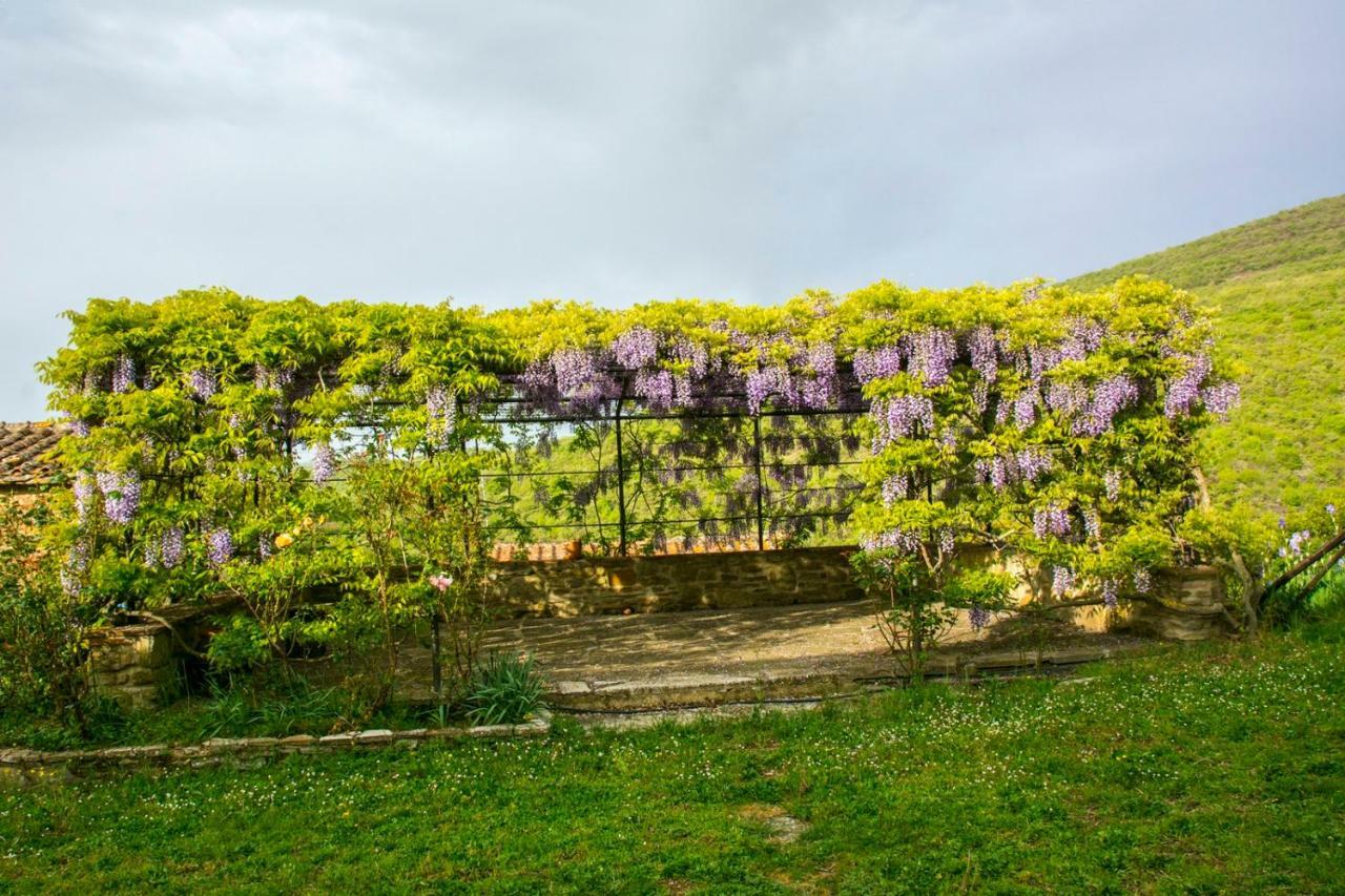 Hotel Borgo Solamore Cortona Exterior foto